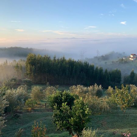 Quinta Lagares Otel Penacova Dış mekan fotoğraf